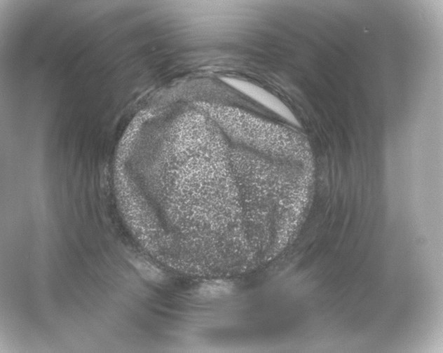 X0000065260369200603172236