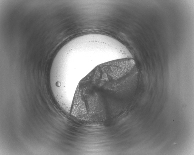 X0000065260370200603172237