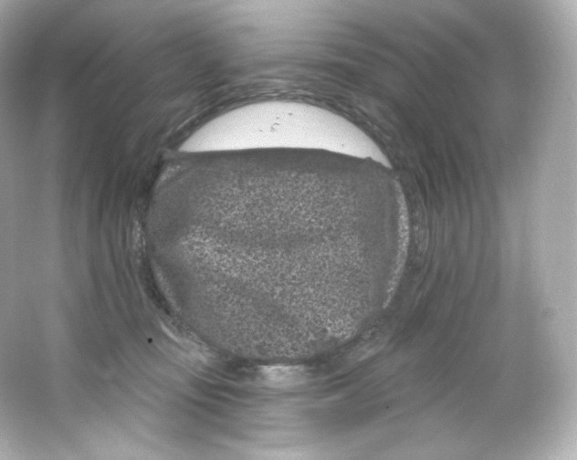 X0000065260371200603172237