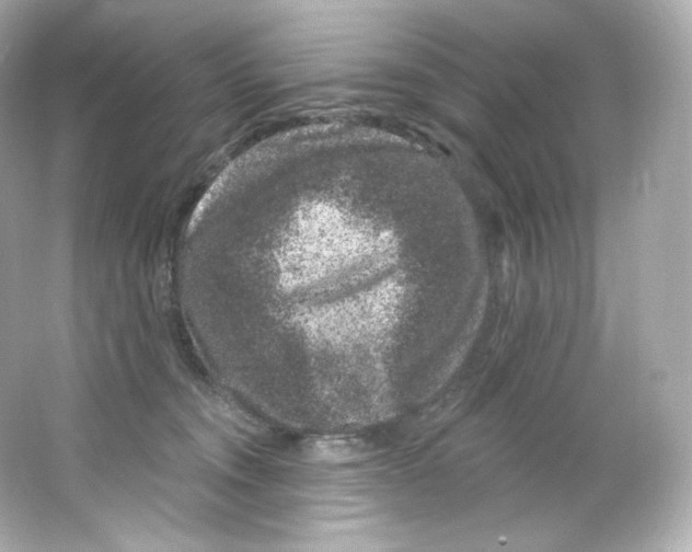 X0000065260372200603172237