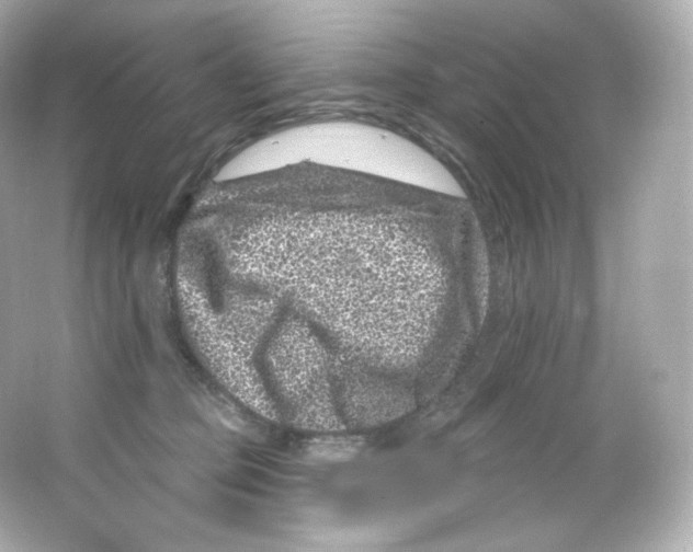 X0000065260373200603172237