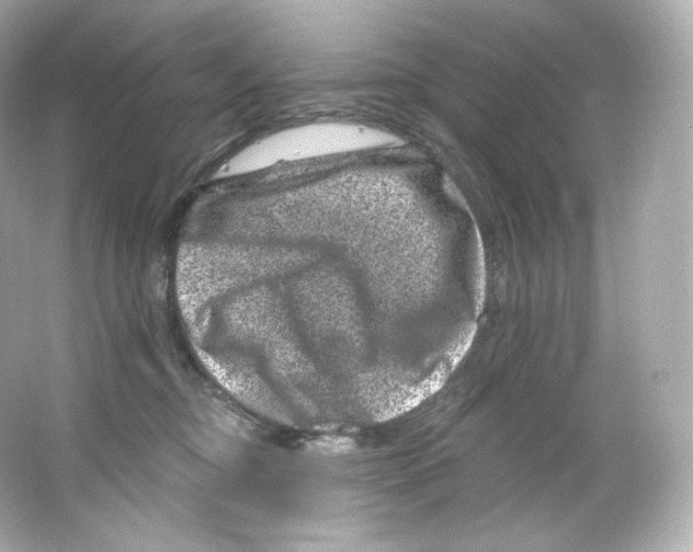 X0000065260374200603172237