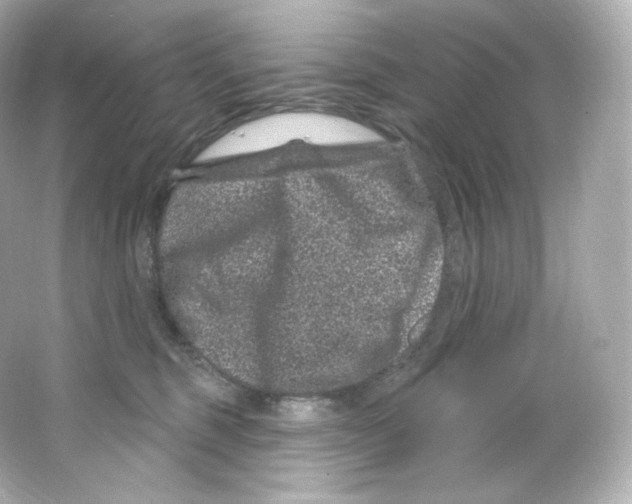 X0000065260375200603172237