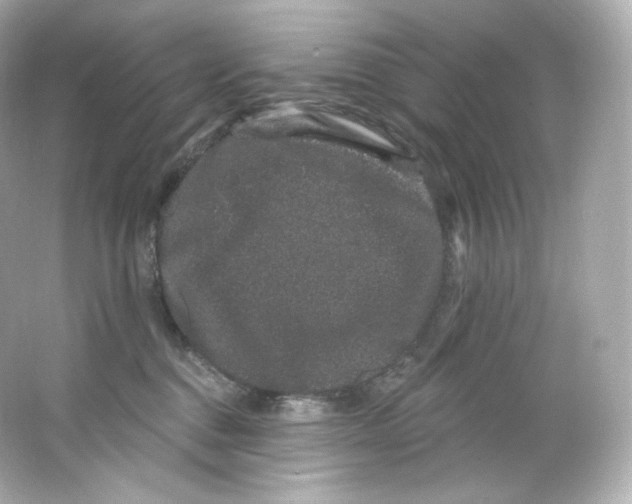 X0000065260376200603172237