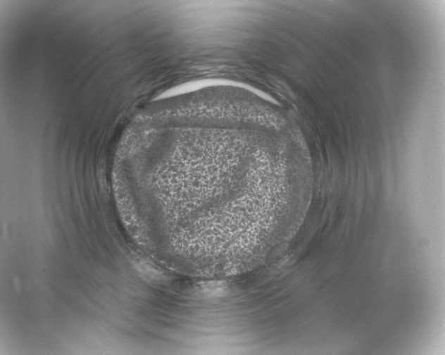 X0000065260377200603172237