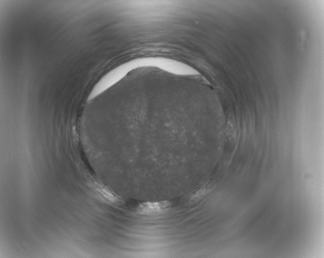 X0000065260381200603172237