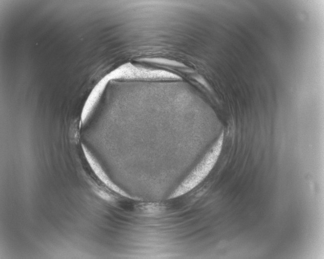 X0000065260383200603172237