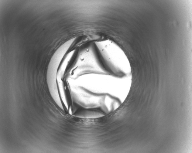 X0000065260384200603172237