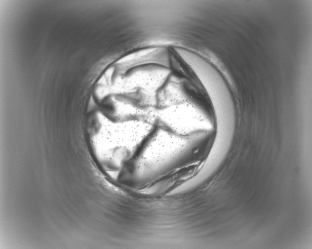 X0000065260385200603172236