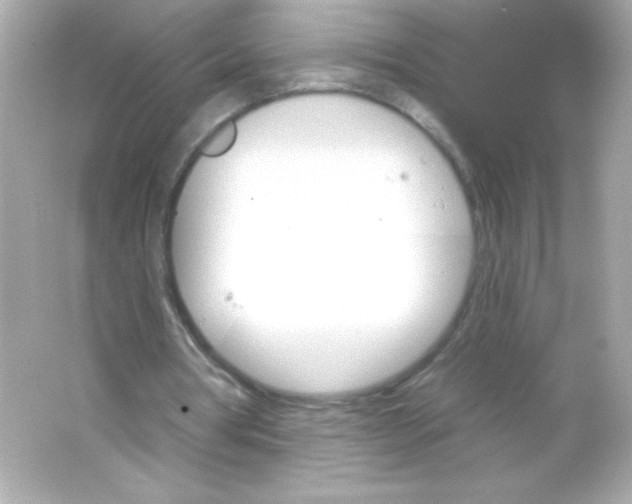 X0000065260386200603172236