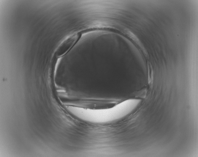 X0000065260387200603172236