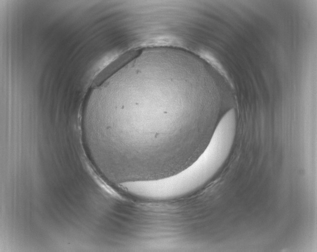 X0000065260389200603172236