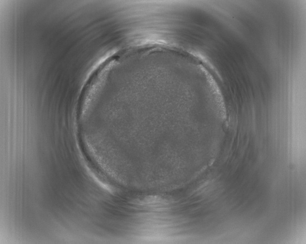 X0000065260390200603172236