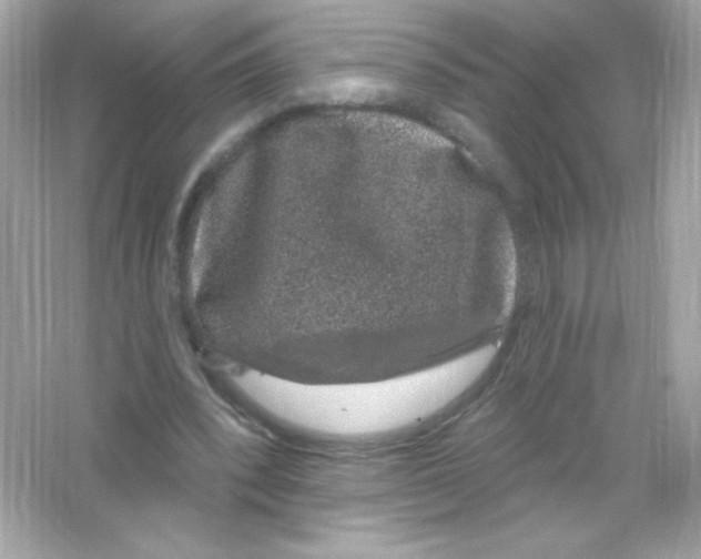 X0000065260392200603172236