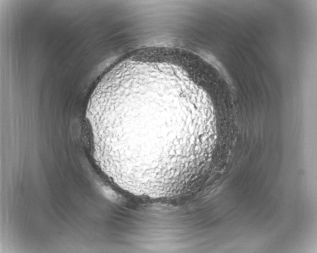 X0000065260393200603172236