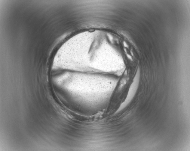 X0000065260395200603172236