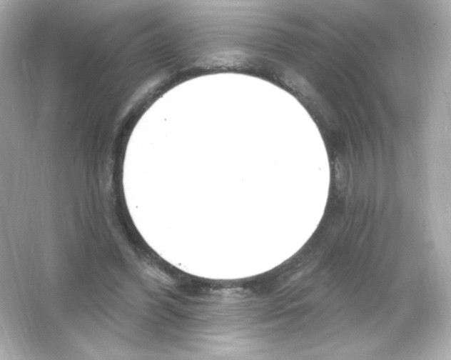 X0000065260396200603172236