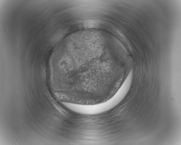 X0000065260401200603172236