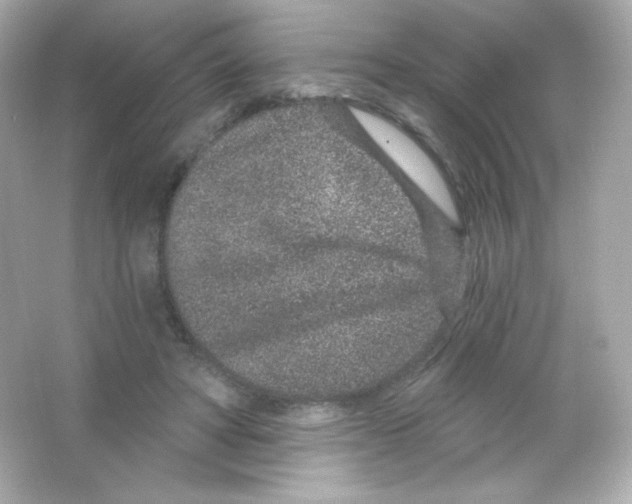 X0000065260402200603172236