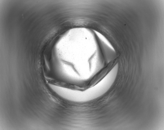 X0000065260407200603172236