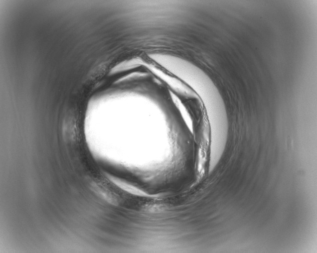 X0000065260408200603172236