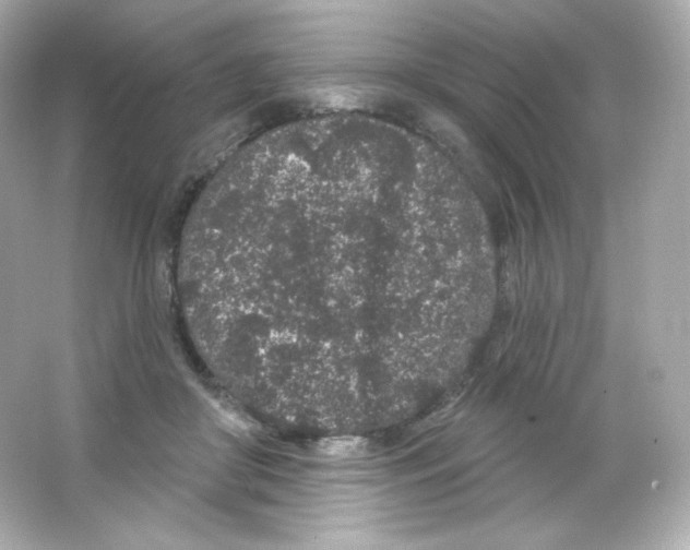 X0000065260410200603172236