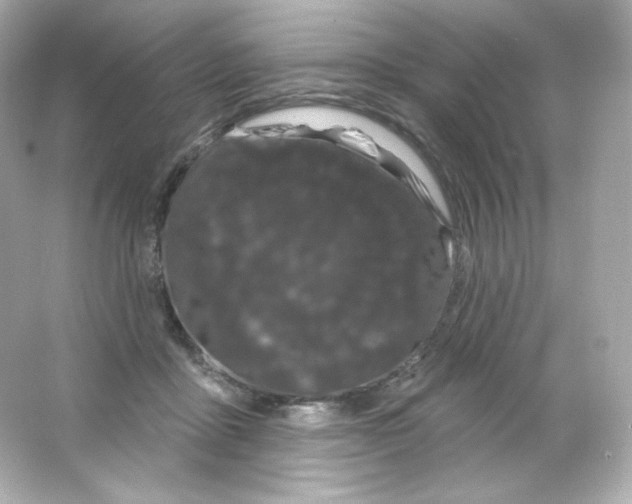 X0000065260411200603172235