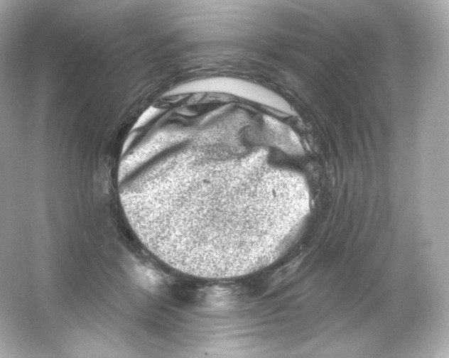 X0000065260412200603172235