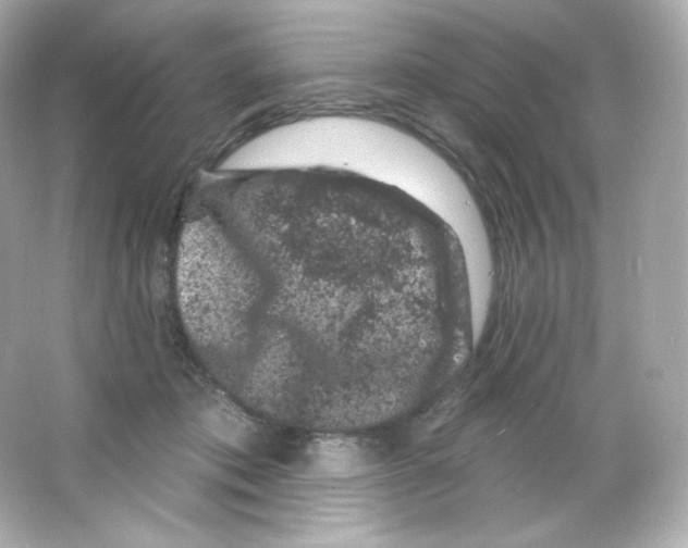 X0000065260413200603172235