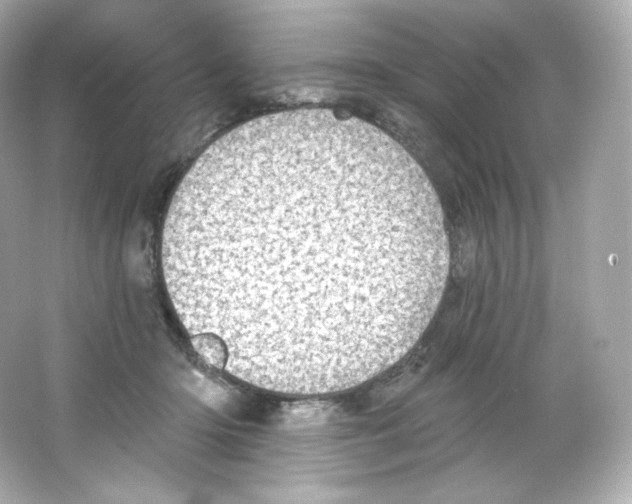 X0000065260414200603172235