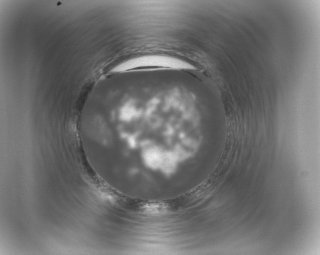 X0000065260415200603172235