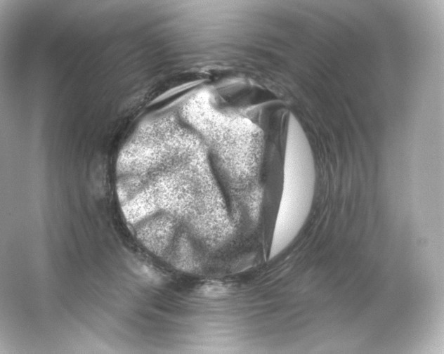 X0000065260416200603172235