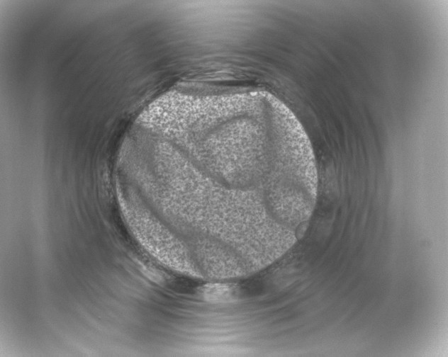 X0000065260418200603172235