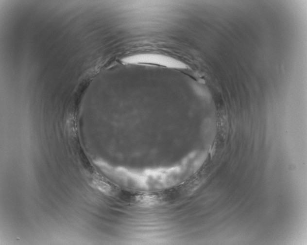 X0000065260419200603172235