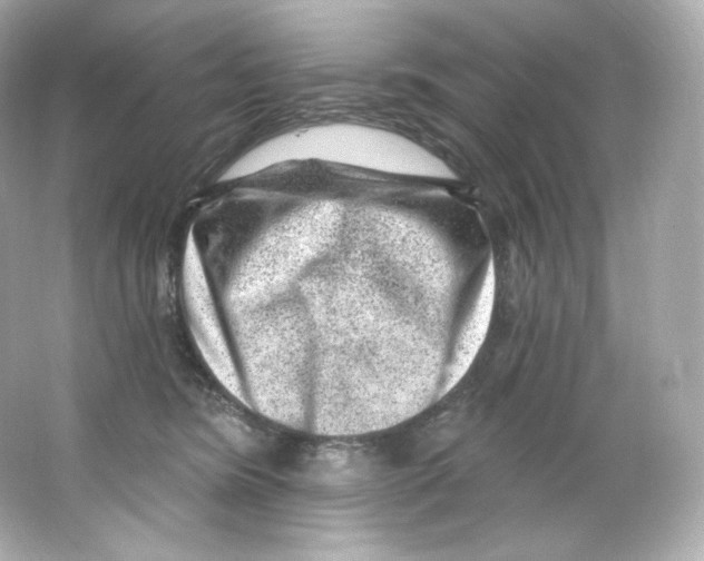 X0000065260420200603172235