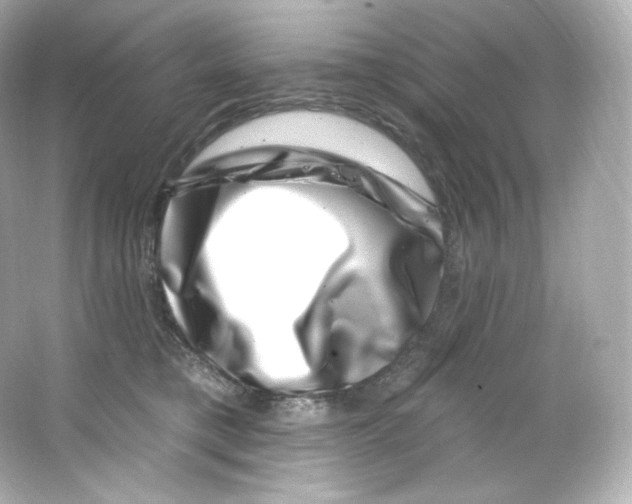 X0000065260421200603172235