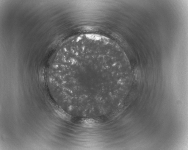 X0000065260423200603172235