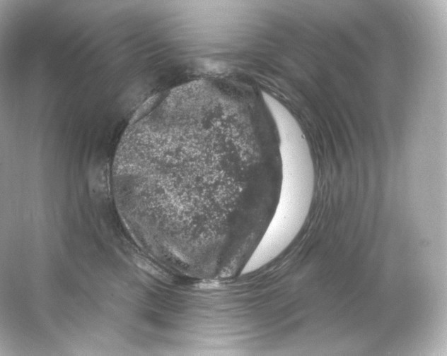 X0000065260425200603172235