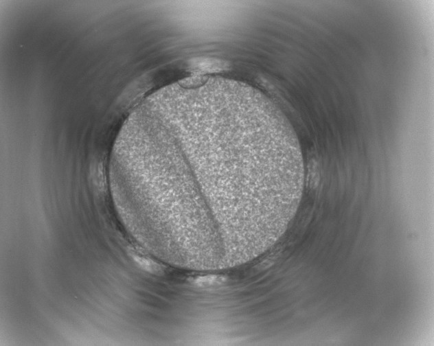 X0000065260426200603172235