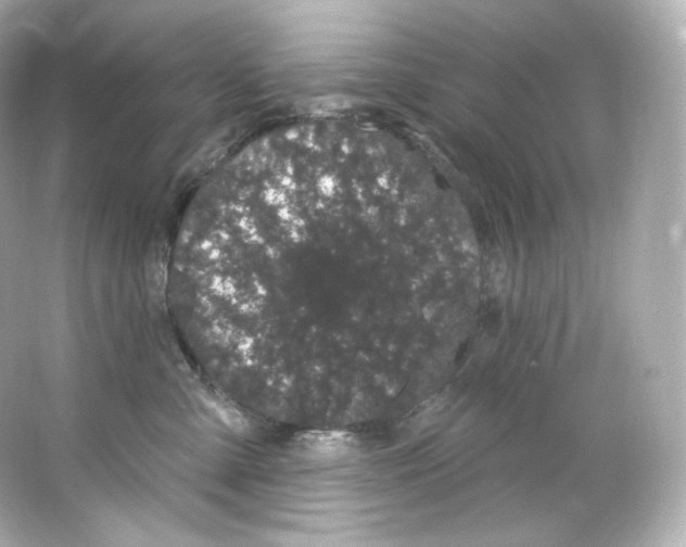 X0000065260427200603172235