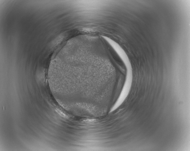 X0000065260428200603172235