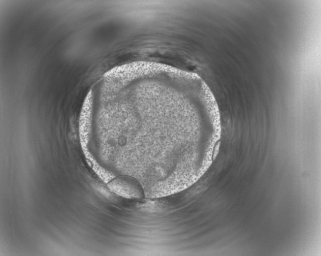 X0000065260430200603172235