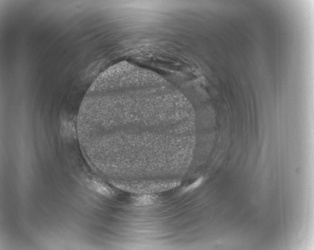 X0000065260432200603172235