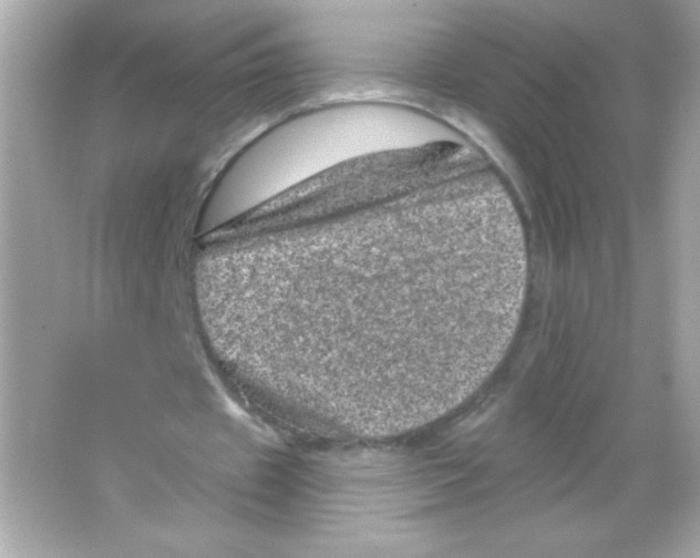 X0000065260433200603172234