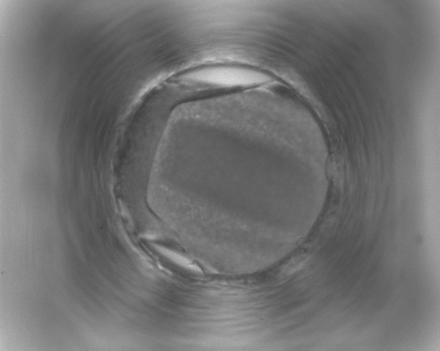 X0000065260434200603172234