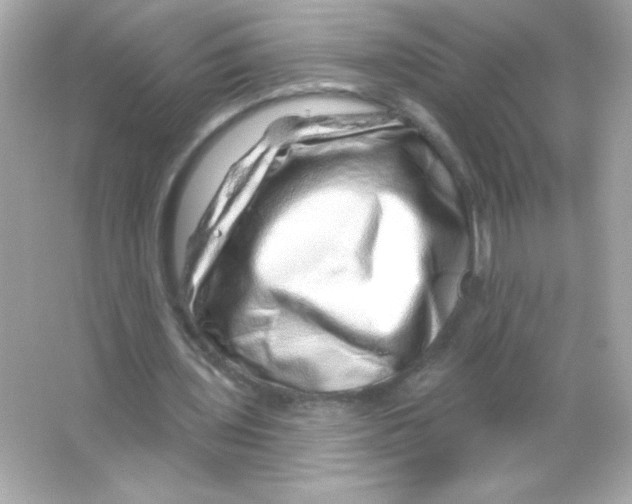 X0000065260435200603172234