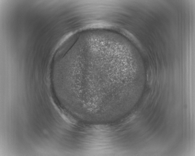 X0000065260436200603172234