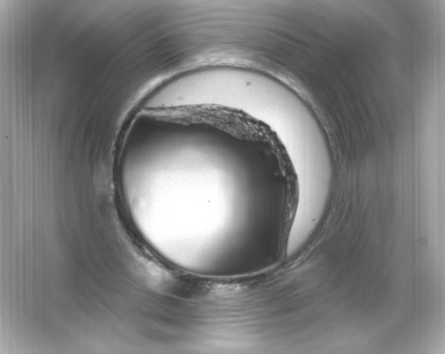 X0000065260438200603172234