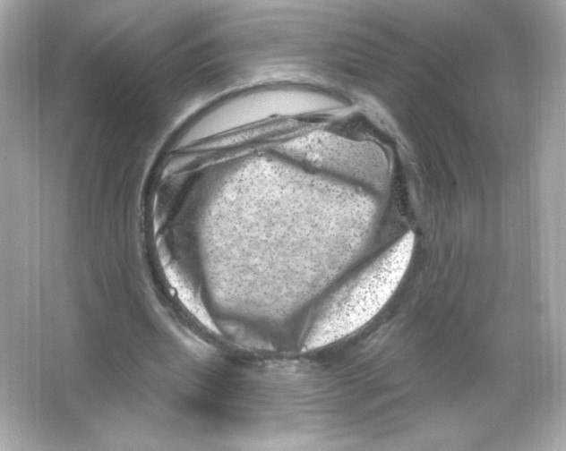 X0000065260439200603172234