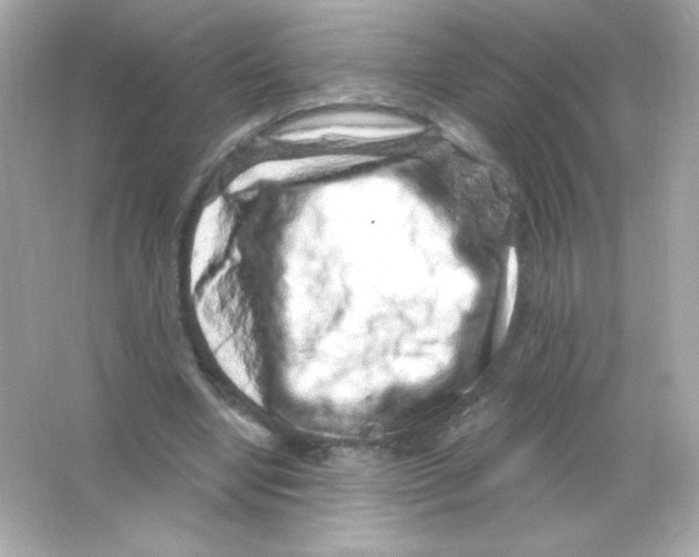 X0000065260442200603172234